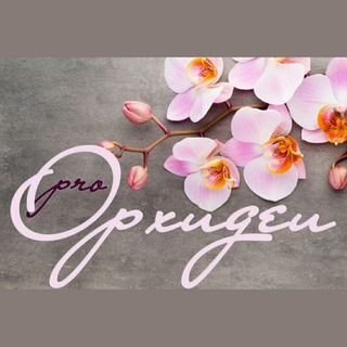 Проорхидеи, продажа орхидей