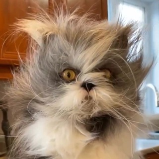 Интересное с интернета 👍