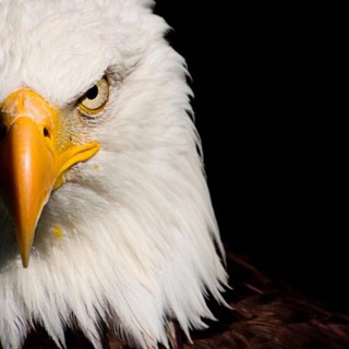 Пророческая Скиния