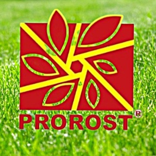 ПРОРОСТ