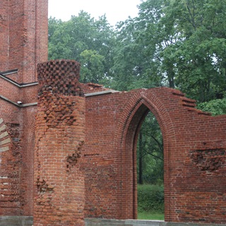 Про сады. И не только