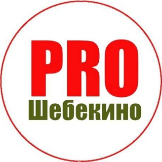 PRO Шебекино