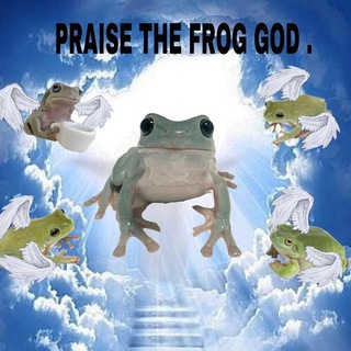 Жабий уголок