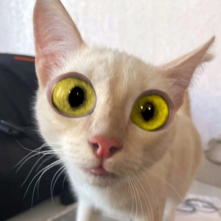 ПростоКопецк!🙀