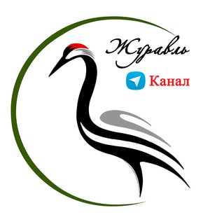 Журавль | PRO-Развитие