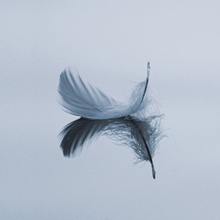 Дассий | Просветление | Осознанность | Пробуждение