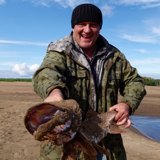 Хозяева тайги - PROтайгу