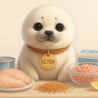 Белок и белковая диета