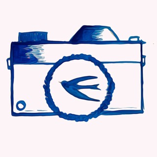 Провинция 58