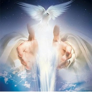 ПРО.ЯВИТ.ЕЛЬ🕊🌿 PRO.YAVIT.EL🕊🌿💎