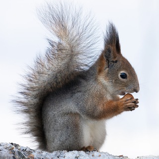 ПроЗаповедник