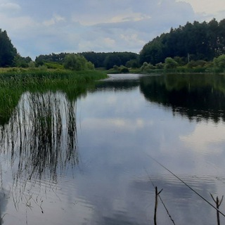 Пруды Тамбовской области 🐟