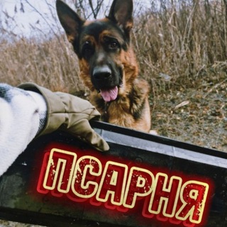 Псарня 🇷🇺