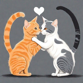 Котики и отношения