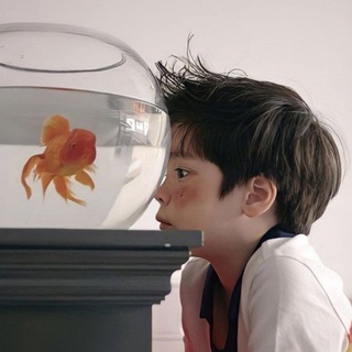 Глазами детей 👀