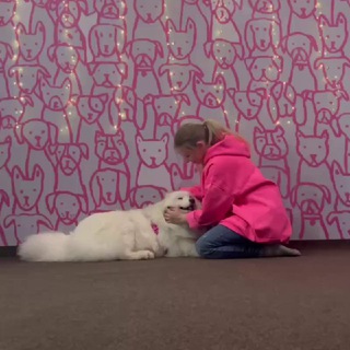 Псинатерапевт