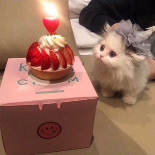 Pssst... I've got some memes 4 u