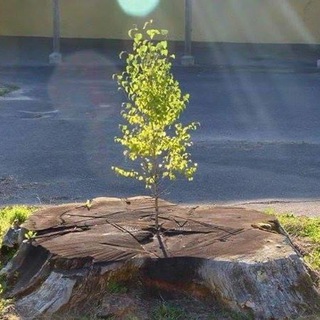 Пси-аудиотека Ψ