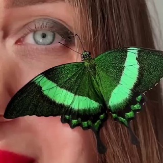 PSYCHE: ЗЕРКАЛО ОТНОШЕНИЙ