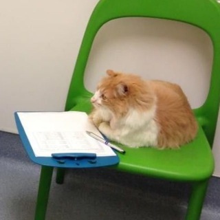 что-то про осознанность