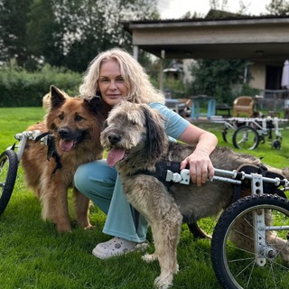 Псяшкин дом