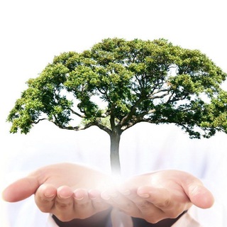 Психокинезиолог СПб. Козлова Олеся.