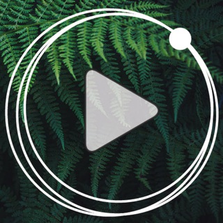 МСП; Подкаст о психотерапии «Откройте окна»