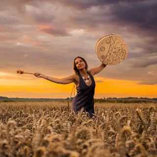 Птичка в Поле