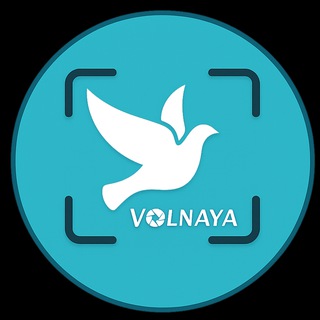 Красота момента - фотографии и размышления