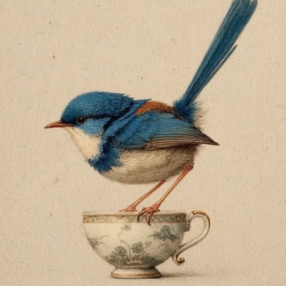 🦚ПТИЦА СЧАСТЬЯ | небесные узоры