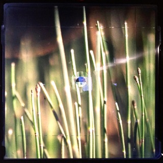 Пффффото и другие развлечения