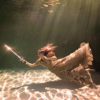 Мы прах и тень