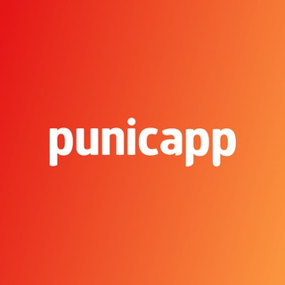 Punicapp | Разработка мобильных приложений