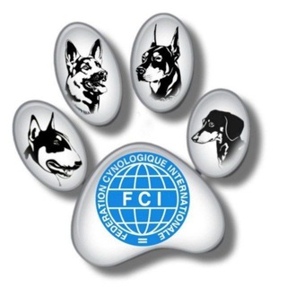 Щенки🌐𝐅𝐂𝐈