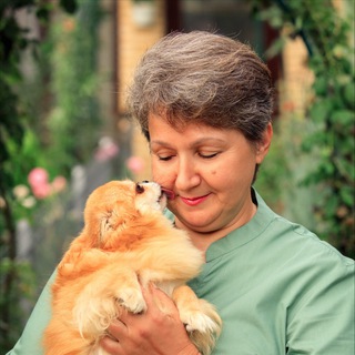 Чихуахуа Natalyazarutzkaya