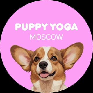 Йога со щенками в Москве