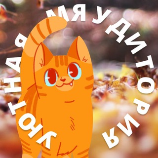 Уютная Мяудитория