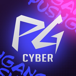 PUSHGANG | Компьютерный клуб Курган