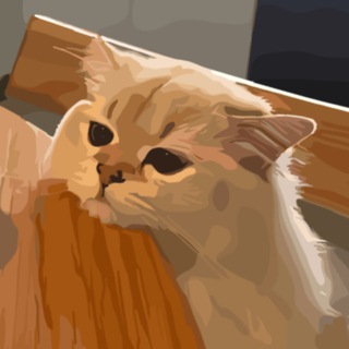 МягкиеДела