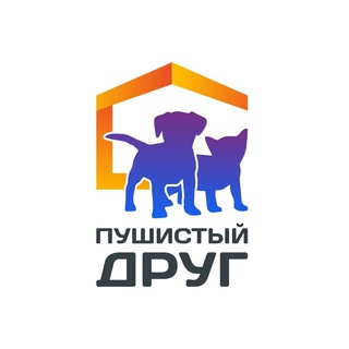 Пушистый друг 🐶🐱❤️Помощь бездомным животным.