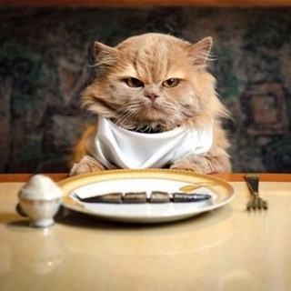 Пушистый Рай 🐱