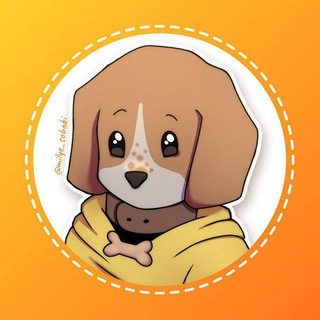 Милые собаки