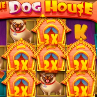 азартный xwhatt