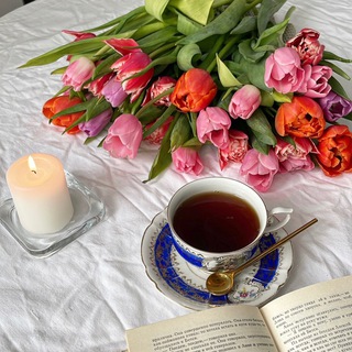 Шесть окон на Жуковского