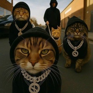 Пушистый беспредел