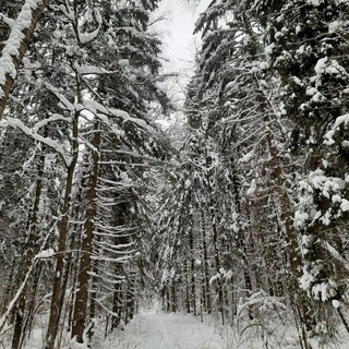 Походы ПВД Подмосковье