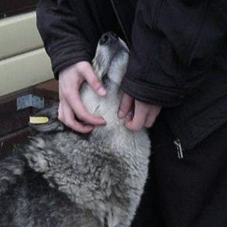 бесноватости низкого кач-ва