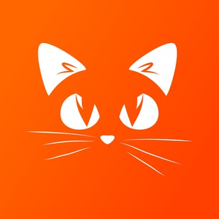 Пушистые новости