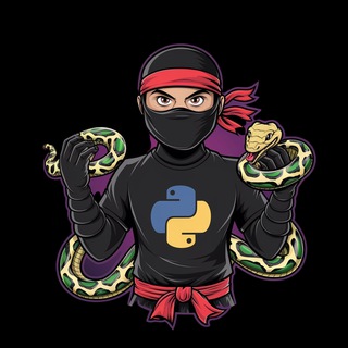 Python Ninja | Программирование