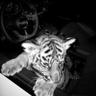 пожалуйста